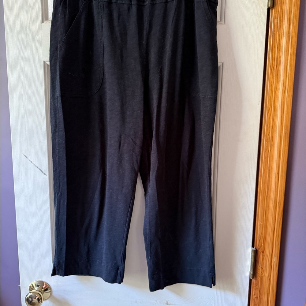 Xscape Black Cropped Women's Pants
